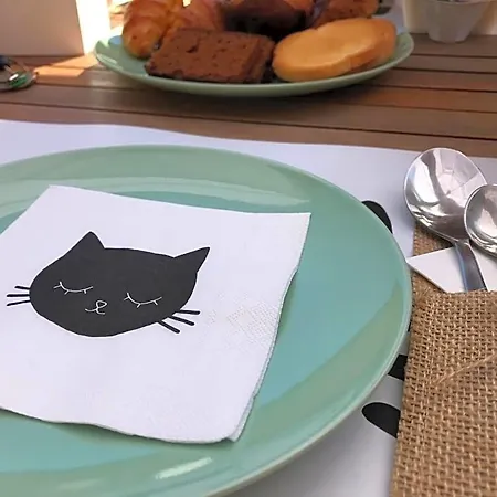 Il Gatto Stanco Arona