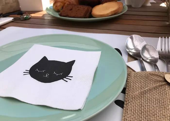 Il Gatto Stanco アローナ