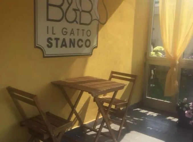Il Gatto Stanco アローナ
