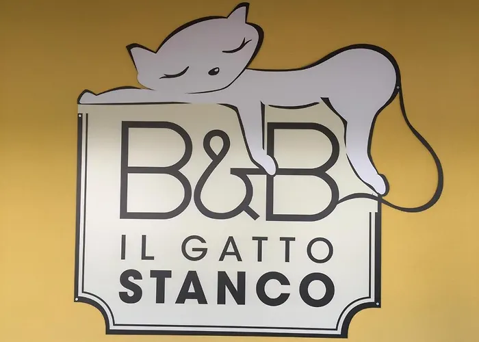 Il Gatto Stanco アローナ